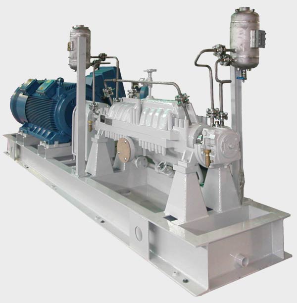 Marelli Multi-Stage API Pumps